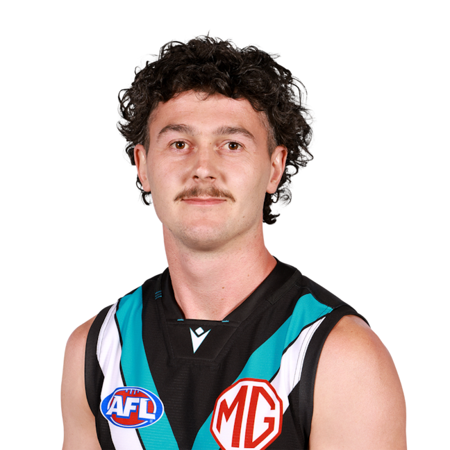 Darcy Byrne-Jones profile picture